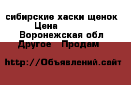 сибирские хаски щенок › Цена ­ 16 000 - Воронежская обл. Другое » Продам   